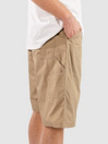 Carhartt WIP Postal Dk Shorts