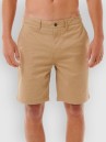 Rip Curl Classic Surf Chino Walk Shorts