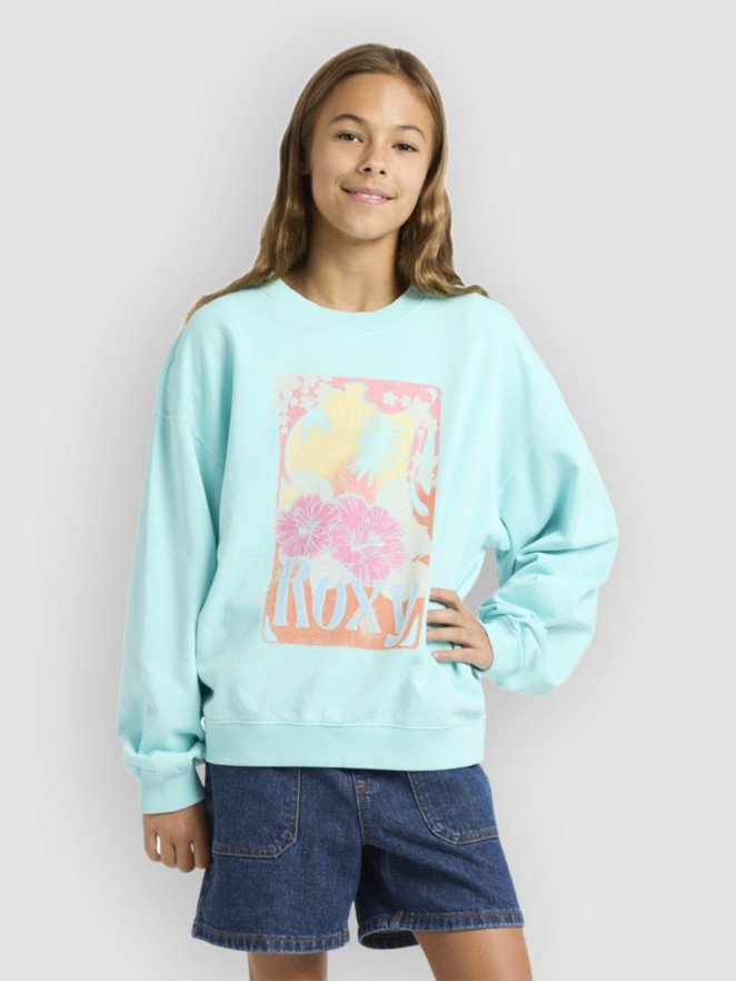 Roxy Lineup Crew Rg Terry Kids Sweater