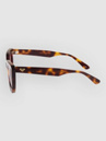 Roxy Solstice Shiny Tortoise Gafas de Sol