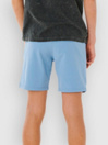 Rip Curl BOArdwalk Phase Volley Kids Shorts