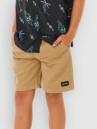 Rip Curl Epic Volley 2.0 Kids Shorts