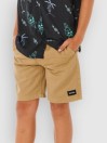 Rip Curl Epic Volley 2.0 Kids Pantaloncini