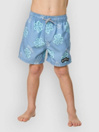 Rip Curl Ride The Wave Volley Kids Boardshorts