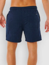 Rip Curl Pacific Rinse Rico Volley Shorts
