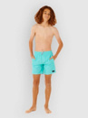 Rip Curl Daily Volley Kids Boardshorts