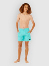 Rip Curl Daily Volley Kids Boardshorts