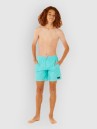 Rip Curl Daily Volley Kids Boardshorts