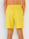 Rip Curl Daily Volley Kids Surffishortsit