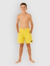 Rip Curl Daily Volley Kids Surffishortsit