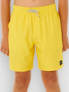 Rip Curl Daily Volley Kids Surffishortsit