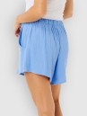 Rip Curl Premium Surf Holiday Shorts