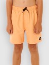 Rip Curl Offset Volley Kids Boardshorts