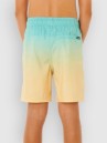 Rip Curl Offset Fade Volley Kids Boardshorts