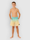 Rip Curl Offset Fade Volley Kids Boardshorts