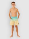 Rip Curl Offset Fade Volley Kids Boardshorts