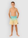Rip Curl Offset Fade Volley Kids Boardshorts