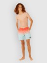 Rip Curl Offset Fade Volley Kids Boardshorts