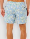 Rip Curl Sessions Volley Boardshorts