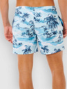 Rip Curl Dreamers Volley Boardshorts