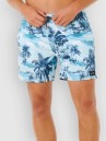 Rip Curl Dreamers Volley Boardshorts