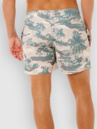 Rip Curl Dreamers Volley Boardshort