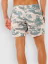 Rip Curl Dreamers Volley Boardshort