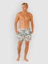 Rip Curl Dreamers Volley Boardshort