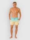 Rip Curl Offset Fade Volley Boardshorts