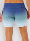 Rip Curl Offset Fade Volley Boardshorts