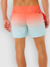 Rip Curl Offset Fade Volley Boardshorts