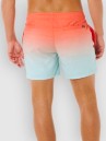 Rip Curl Offset Fade Volley Boardshorts