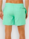 Rip Curl Offset Daily Volley Boardshorts