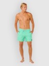 Rip Curl Offset Daily Volley Boardshorts