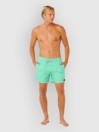 Rip Curl Offset Daily Volley Boardshorts