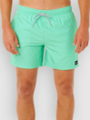 Rip Curl Offset Daily Volley Boardshorts