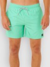Rip Curl Offset Daily Volley Boardshorts
