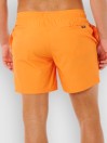 Rip Curl Offset Daily Volley Boardshorts