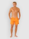 Rip Curl Offset Daily Volley Boardshorts
