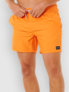 Rip Curl Offset Daily Volley Boardshorts