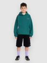 Volcom Fa Ben Sanaire Po Kids Hoodie