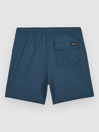 Volcom Lido Trunk Kids Boardshorts