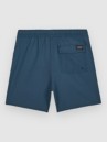Volcom Lido Trunk Kids Boardshorts
