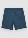 Volcom Lido Trunk Kids Boardshorts