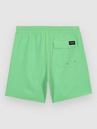 Volcom Lido Trunk Kids Boardshorts