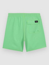 Volcom Lido Trunk Kids Boardshorts