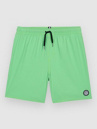 Volcom Lido Trunk Kids Boardshorts