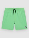 Volcom Lido Trunk Kids Boardshorts