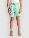 Billabong All Day Kids Boardshorts
