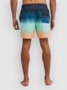 Billabong All Day Fade Boardshort